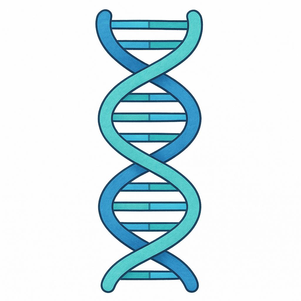 A simplistic illustration of a spiraling double helix structure, colored blue and green, representing a DNA molecule.