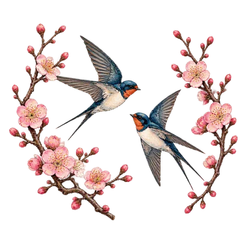 Two swallows between two plum branches