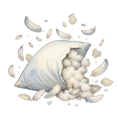A burst feather pillow scattering down and dust.