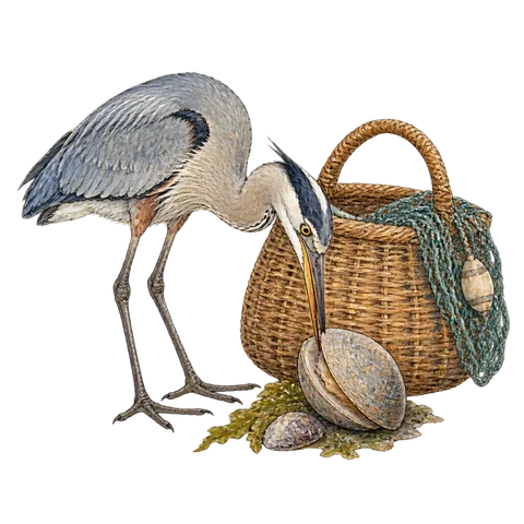 A long-beaked bird with its beak caught gently in a clam beside a fisherman's basket