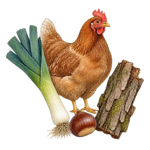 A hen, a leek, a chestnut and the bark of a tree